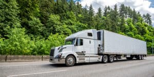 white truck on highway next to trees